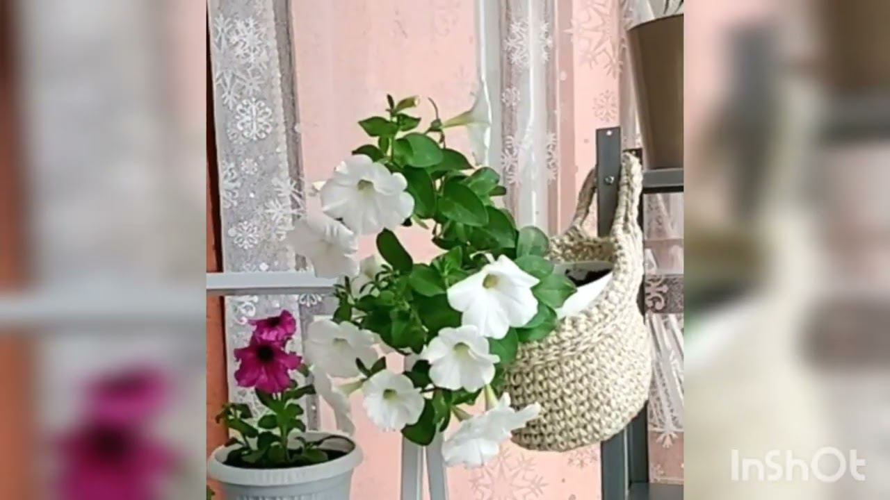 Flowers plant hanger Room decorating planter