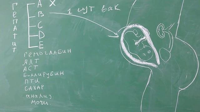 Хомиладорликда Гепатит Вируси Аниқланса. Хомиладорликда Гепатит. Xomiladorlikda gepetit kasalligi