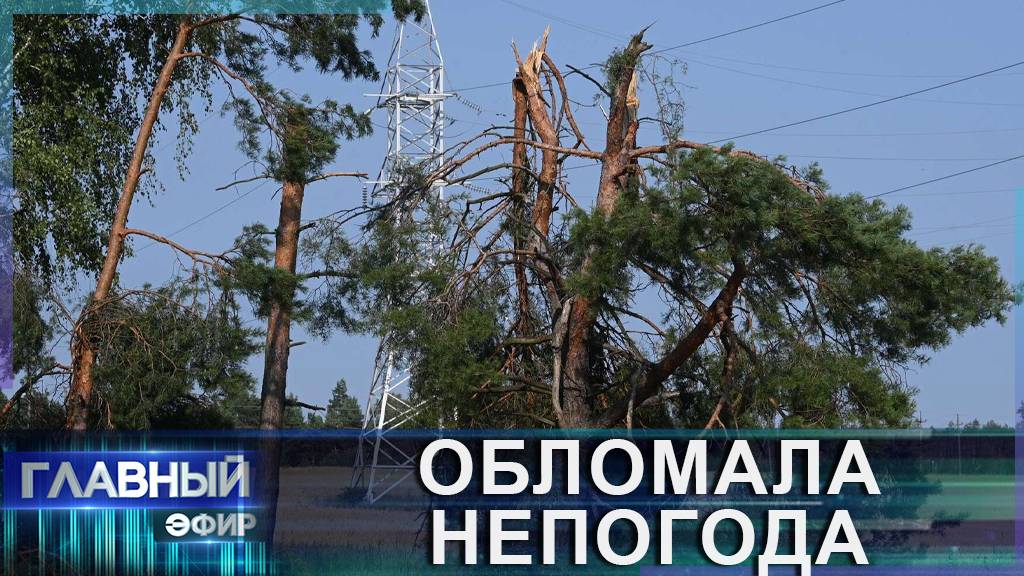Как в Беларуси устраняют последствия урагана в пострадавших районах? Главный эфир