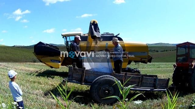 New Holland Tc 5080 Hillside