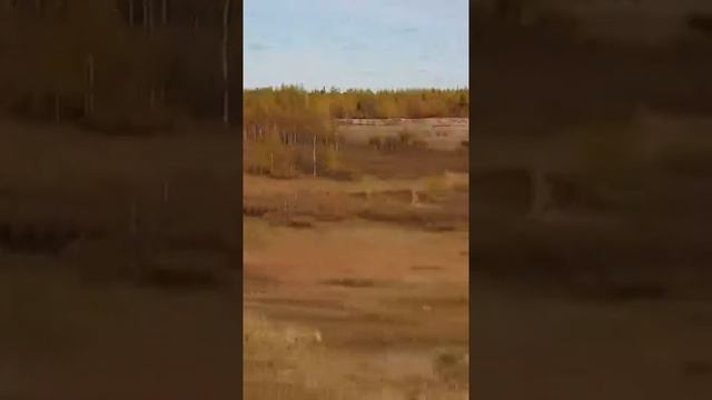 Находимся возле старой железной дороге