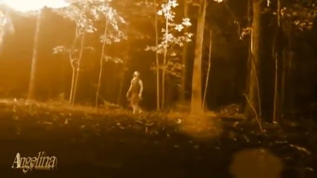 Сергей Гвоздика (Мельков) - "Моя душа горит в Аду "  Автор видео ролика - Ангелина