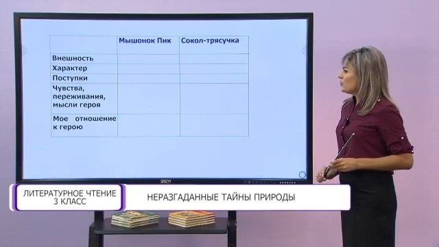 Литературное чтение. 3 класс. Неразгаданные тайны природы /29.09.2020/
