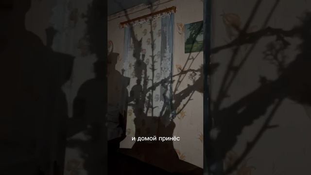 Страшные истории деревни