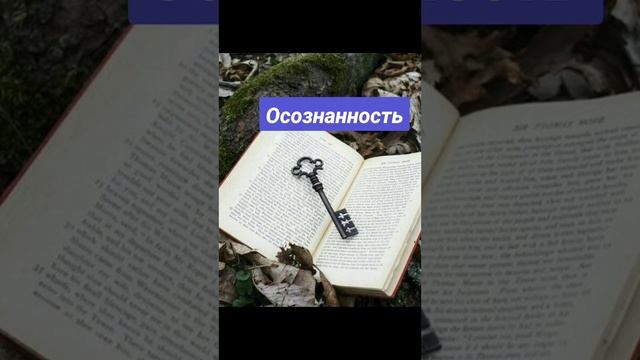 Предназначение.Что это?