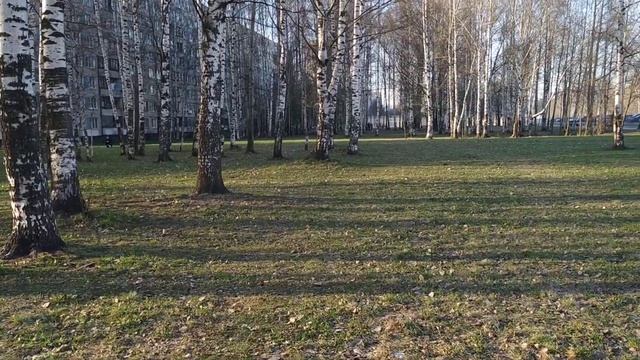 Майский день в Санкт-Петербурге