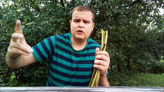 БОМЖ ОБЕД ЗА 0 РУБЛЕЙ | ДЕЛАЮ ОБЕД ИЗ ЛОПУХОВ | КАК ВЫЖИТЬ БЕЗ ДЕНЕГ В РОССИИ