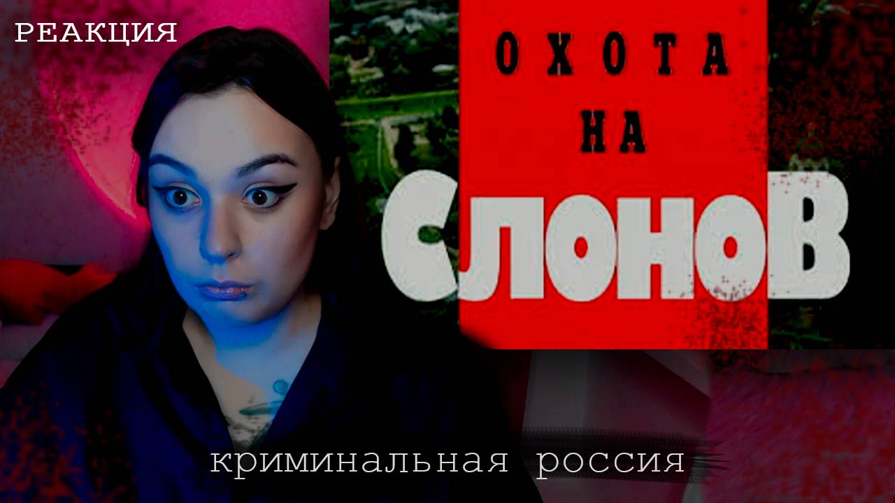 ОХОТА НА СЛОНОВ - РЕАКЦИЯ НА КРИМИНАЛЬНУЮ РОССИЮ #криминал #трукрайм #реакция