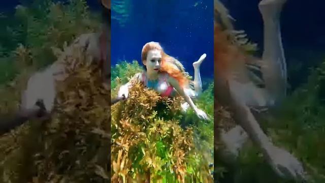 Красавица под водой