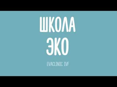 Новый проект EVACLINIC IVF - Школа ЭКО