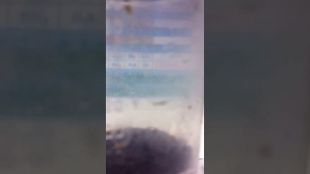 как добыть кислород