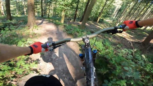 MILTENBERG MIL1 Rundstrecke: Kanada-Vibes! / Odenwald Spessart / Mountainbike MTB Enduro