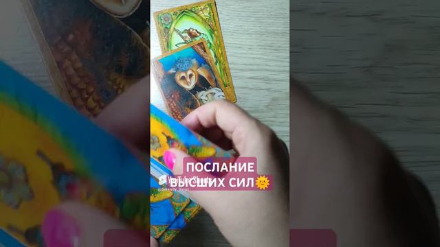 ПОСЛАНИЕ ВЫСШИХ СИЛ🌞 совет ВСЕЛЕННОЙ 💫 таро расклад (2)