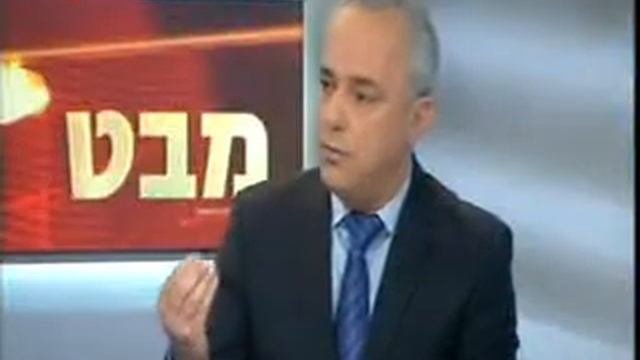 שטייניץ במבט
