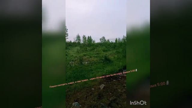 Таглей