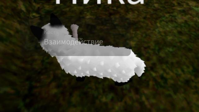 Обзор на карту название карты:Забытые миры