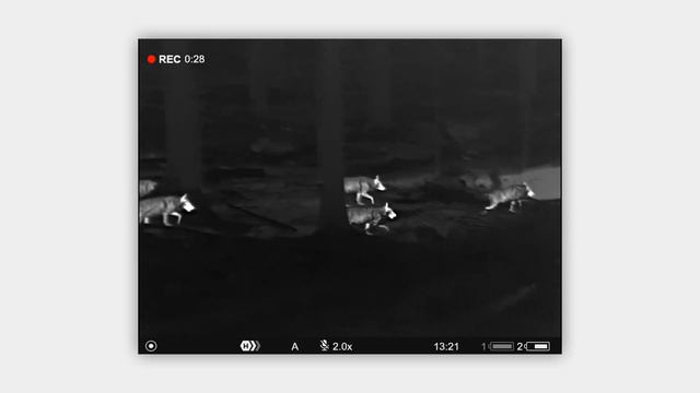 Pulsar at IWA OutdoorClassics 2024 | Thermal imaging devices | Trailer