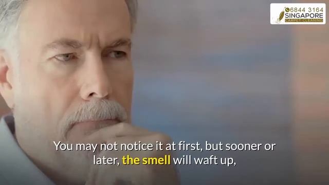 How to remove stains on your mattress?