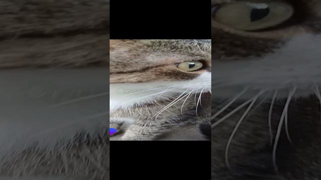 Милашка💙💜
