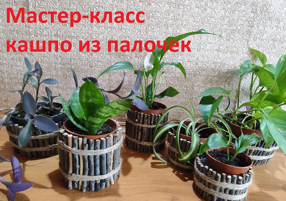 Как сделать кашпо из палочек?