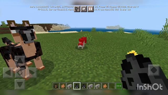 Лучший мод на собак|майнкрафт ПЕ