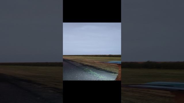 VID_20240709_041337