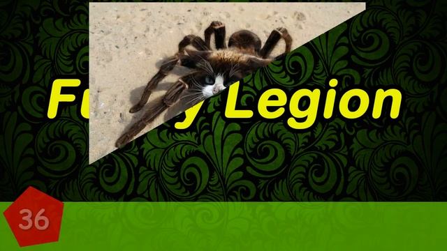 7+ Strange Animal Hybrids Bred In Photoshop