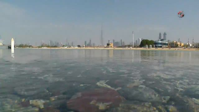 Дубай. ОАЭ, Персидский залив. Подводные съемки- Камера Sony HDR-AS15. ( из канала _VS_- Рыбалка )