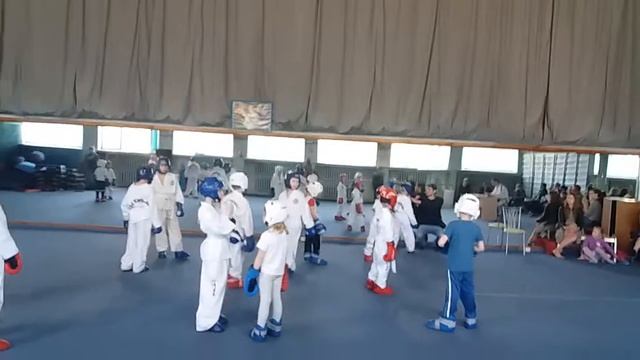 Спарринг на белый пояс Тхэквондо ITF.