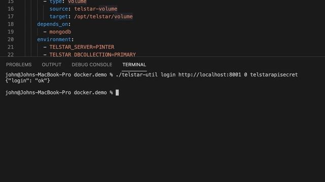 Create Your Own Videotex Service