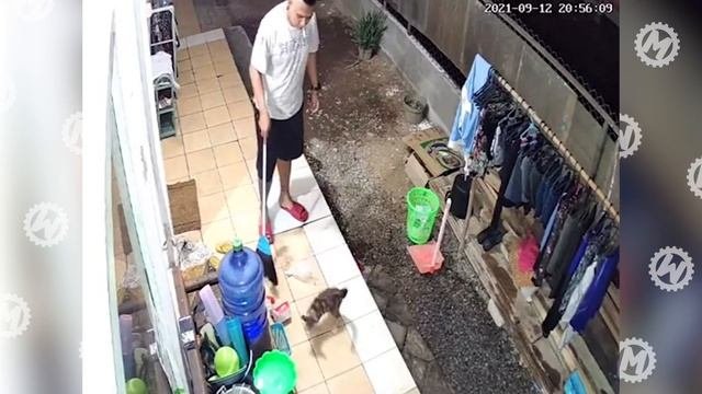 35 Впечатляющих Моментов, Снятых на Камеру Наблюдения