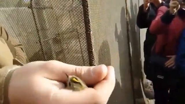 Немного о себе. №2. Отдых в Калининградской области.