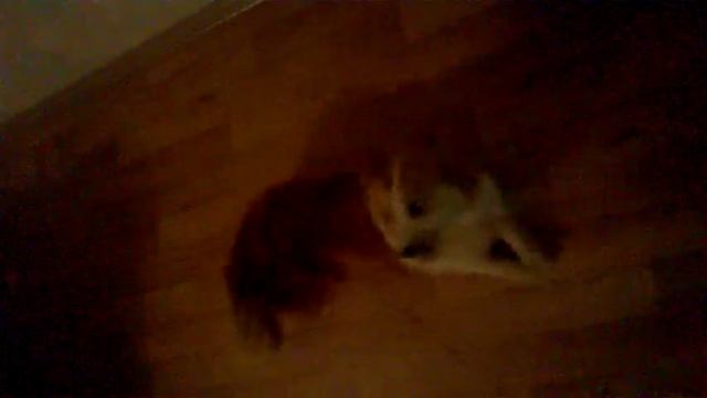 02.12.15 тренировка; кувырки