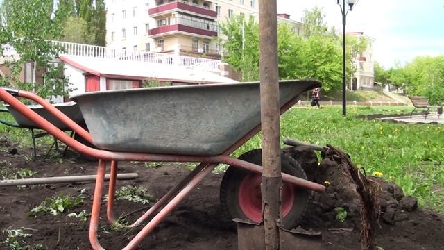 Сюжет от 21.05.2019: Озеленение города