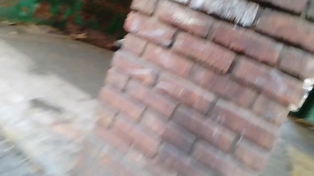 первое видео, заброшенный дом в лесу
