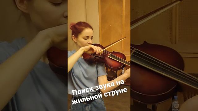 поиск звука на жильной струне, с чего начать?