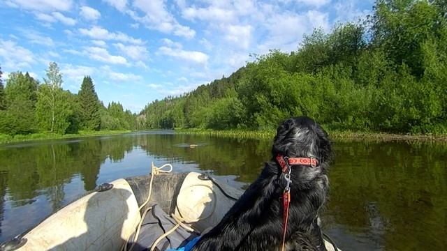 Не совсем одиночный сплав по реке Койва (продолжение). Июньский заморозок, встреча с медведем.