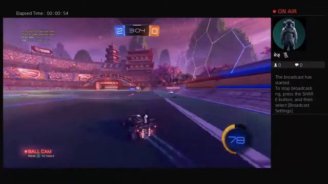 Titanium White Dominus rocket league!!