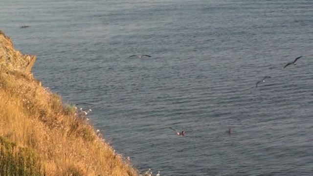 Берег,море,красота!!!