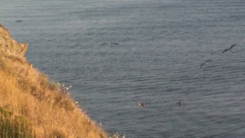 Берег,море,красота!!!