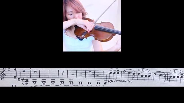 Mendelssohn Violin Concerto || Page 2 || Follow along with music ~