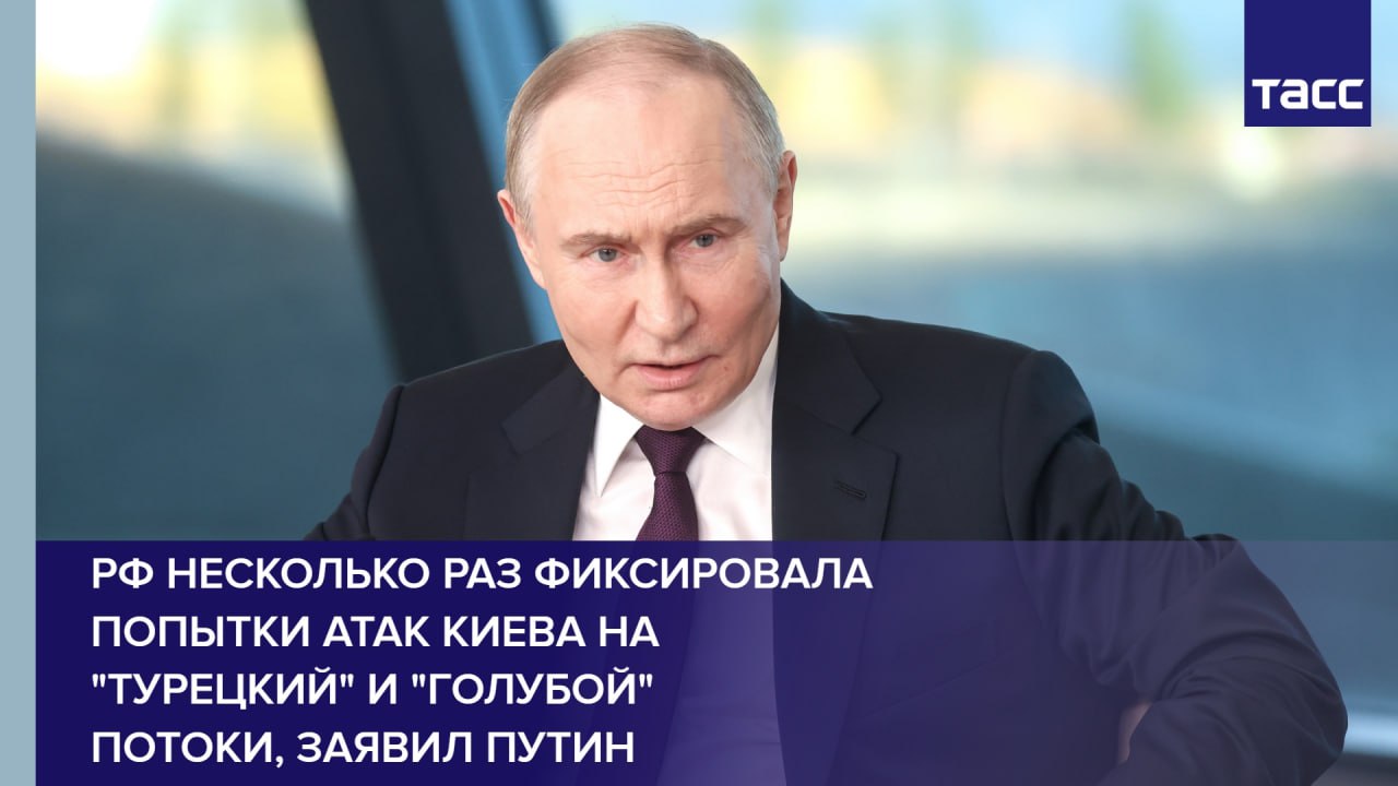 РФ несколько раз фиксировала попытки атак Киева на "Турецкий" и "Голубой" потоки, заявил Путин