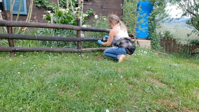 Шале и розы в Италии. Птичий двор, покраска, лёгкий ужин, коктейль.