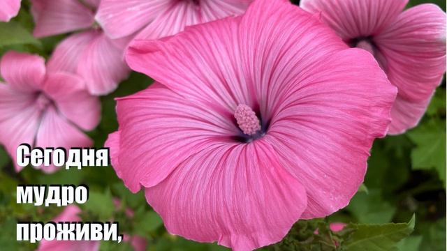 Пожелание на этот день в стихах!