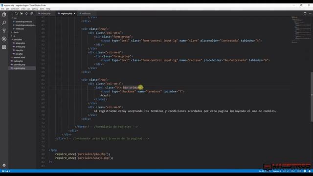 Sistema de Registro y Login con PHP y MySQL - 15/41 - Terminos y Condiciones y Botones