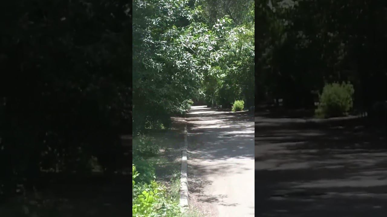 Старая улица летом в Астрахани Old street in summer in Astrakhan 阿斯特拉罕夏季老街 アストラハン州の夏の古い町並み 아스트라한의 여름