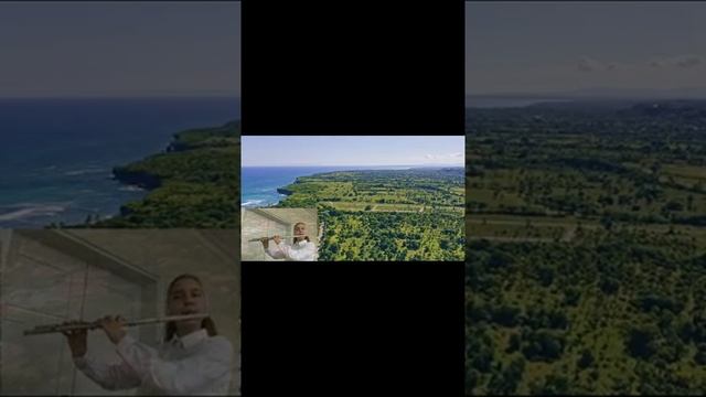 "Прекраcное далёко" флейта