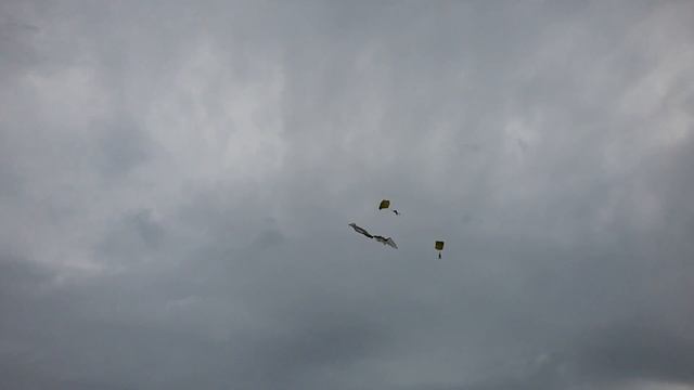 День воздушного флота России 2017. Ижевск. Пирогово