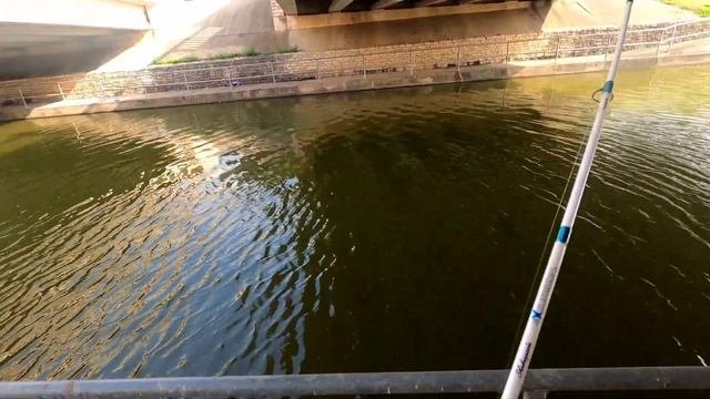 Do Berkley Gulp Earth Worm ? Work Fishing For Bluegills? #fishinglife #fishing
