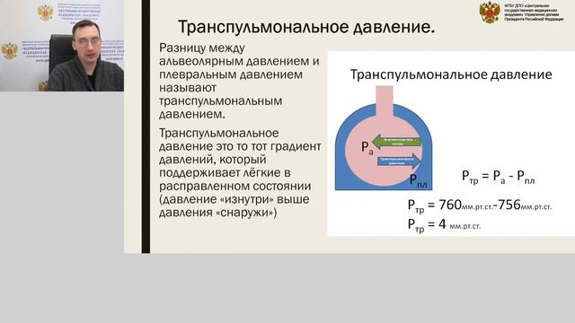 ИВЛ